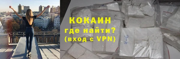 бошки Няндома