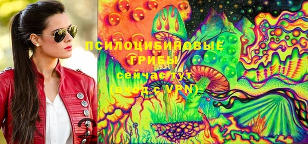 бошки Няндома