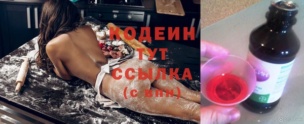 бошки Няндома