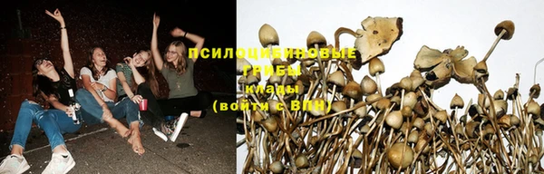меф VHQ Нязепетровск