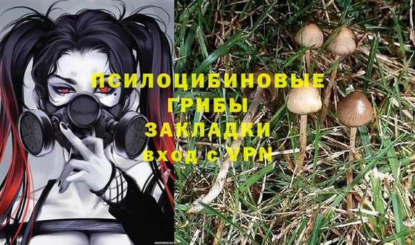 амф Нягань