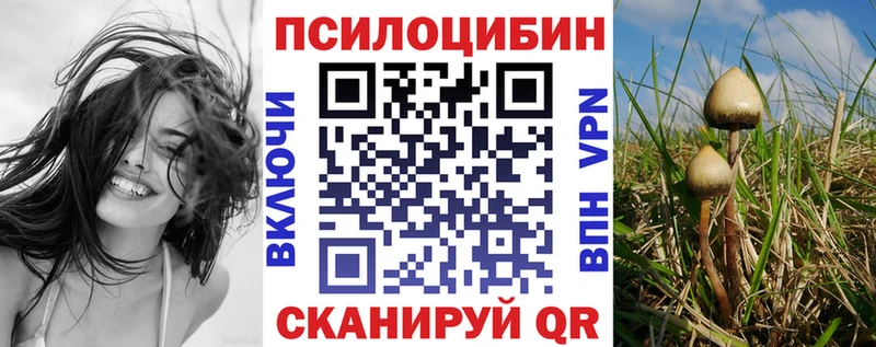 Галлюциногенные грибы Psilocybe  Купить закладки  Коркино 
